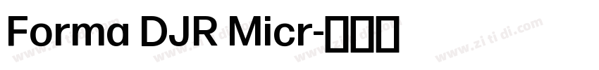 Forma DJR Micr字体转换 Forma DJR Micr字体转换